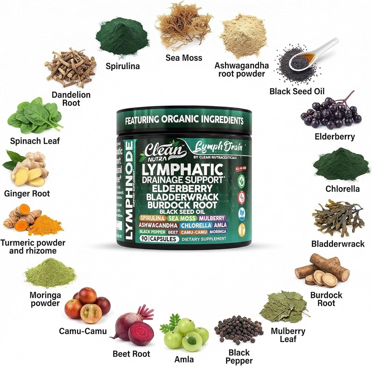 image:imageOrganic Lymphatic Drainage Supplements Elderberry Bladderwrack Burdock Root Black Seed Oil Spirulina Sea Moss Ashwagandha Chlorella Amla Beet Moringa Chlorophyll Lymph System Capsules By Clean Nutra