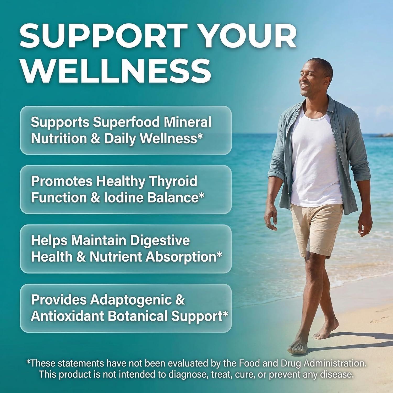 image:imageClean Nutra Organic Sea Moss Capsules with Ashwagandha Black Seed Oil Burdock Root Bladderwrack Moringa Chlorella Spirulina Turmeric Elderberry Amla 90 Vegan Capsules MiracleMin1