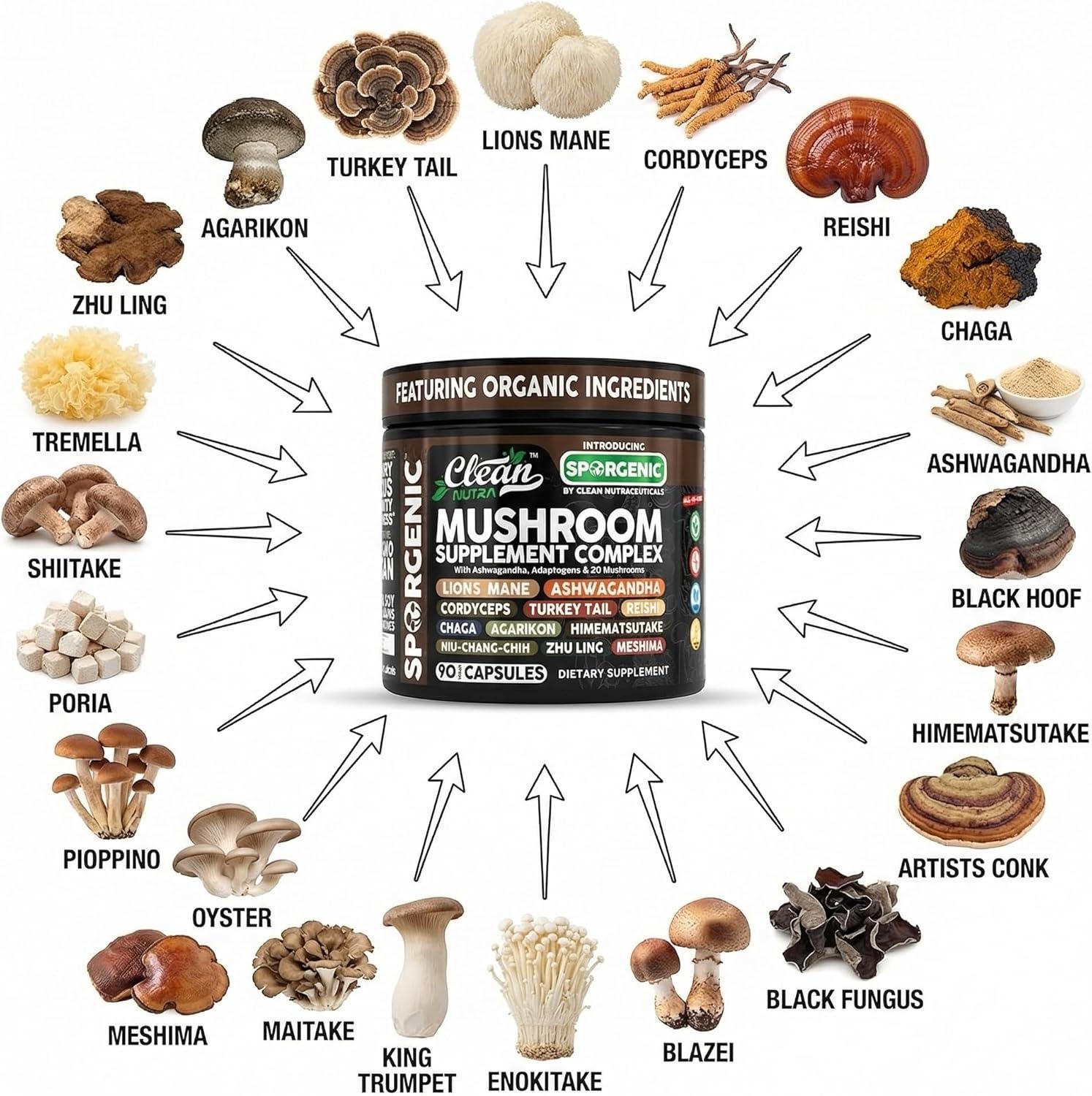 image:imageOrganic Mushroom Supplement Ashwagandha Lions Mane Cordyceps Turkey Tail Reishi Mushrooms Maca Root Black Hoof Chaga Tremella Agarikon Shiitake Oyster Powder Capsules Sporgenic By Clean Nutra 11