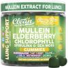 image:imageClean Nutra Mullein Gummies for Lung Health Support with Elderberry Chlorophyll Spirulina Tart Cherry Sea Moss Vitamin C Lutein Marshmallow Root Licorice Root Superfood Greens Mucus Relief 60 Gummies