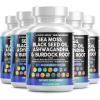 image:imageSea Moss Black Seed Oil Ashwagandha Turmeric Bladderwrack Burdock amp Vitamin C Vitamin D3 with Elderberry Manuka Dandelion Yellow Dock Iodine Chlorophyll ACV  5Pack