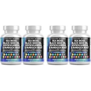 Clean Nutraceuticals Sea Moss Black Seed Oil Ashwagandha Turmeric Bladderwrack Burdock & Vitamin C Vitamin D3 with Elderberry Manuka Dandelion Yellow Dock Iodine Chlorophyll ACV – 2Pack(60 Count (Pack of 4))