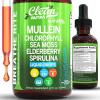 image:imageMullein Drops for Lungs Liquid Chlorophyll Mullein Leaf Extract Supplement Elderberry Sea Moss Spirulina Chlorella Lobelia Marigold Licorice Marshmallow Lung Detox Cleanse Tincture Men Women 2 fl oz