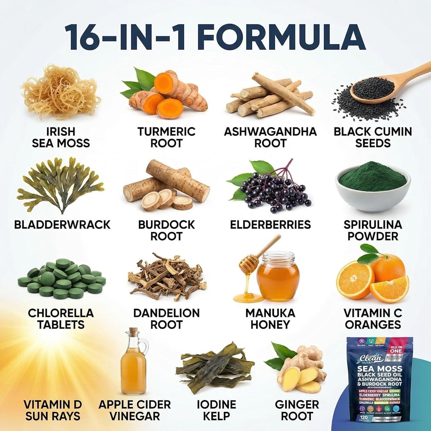image:imageClean Nutraceuticals Sea Moss Black Seed Oil Ashwagandha Turmeric Bladderwrack Burdock amp Vitamin C Vitamin D3 with Elderberry Manuka Dandelion 120 Count Pack of 1120 Count Pack of 1